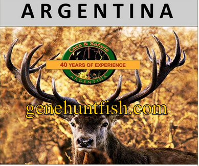 Hunts In Argentina