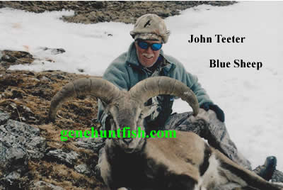 John and His Blue Sheep