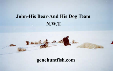 The Polar bear hunt with john teeter