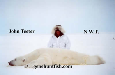 John Teeter Polar Bear