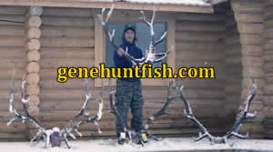 Geno Elk Hunting in BC