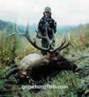 Geno with a Good Bull Elk
