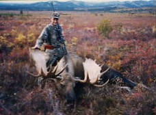 Moose-6-Alaska