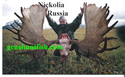 Nickolia and Russian Moose
