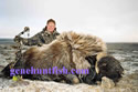 Hunter and His Muskox