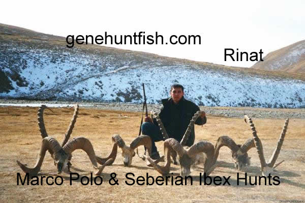 Rinat's  Hunts