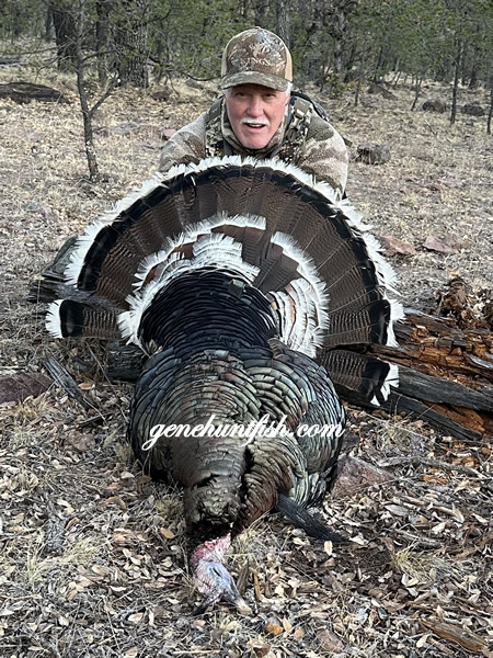JT
       and his Mexico Turkey
