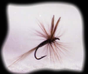 Geno;s Quill Gordn Dry Fly