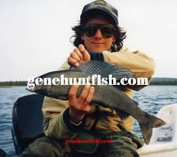 Geno With Monster Arctic Grayling