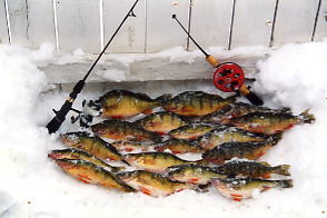Geno Ice Fishing