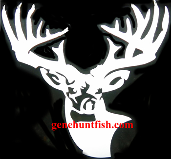GHF.com Deer Logo Decal For Sale-4