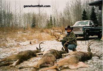 Geno And Some Great Bucks