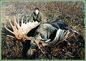 Moose hunts-2