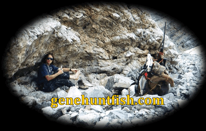 Geno Out Sheep Hunting