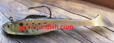 Hottest jig for fishing