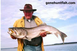 Guest and Lake Trout