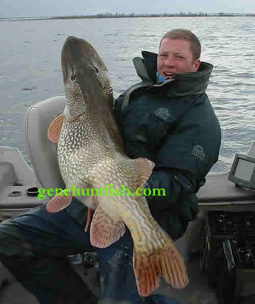 Ewot Blom and His Monster Pike