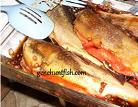 Red Pepper Trout