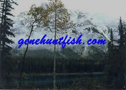Emerald Lake Mts.-BC